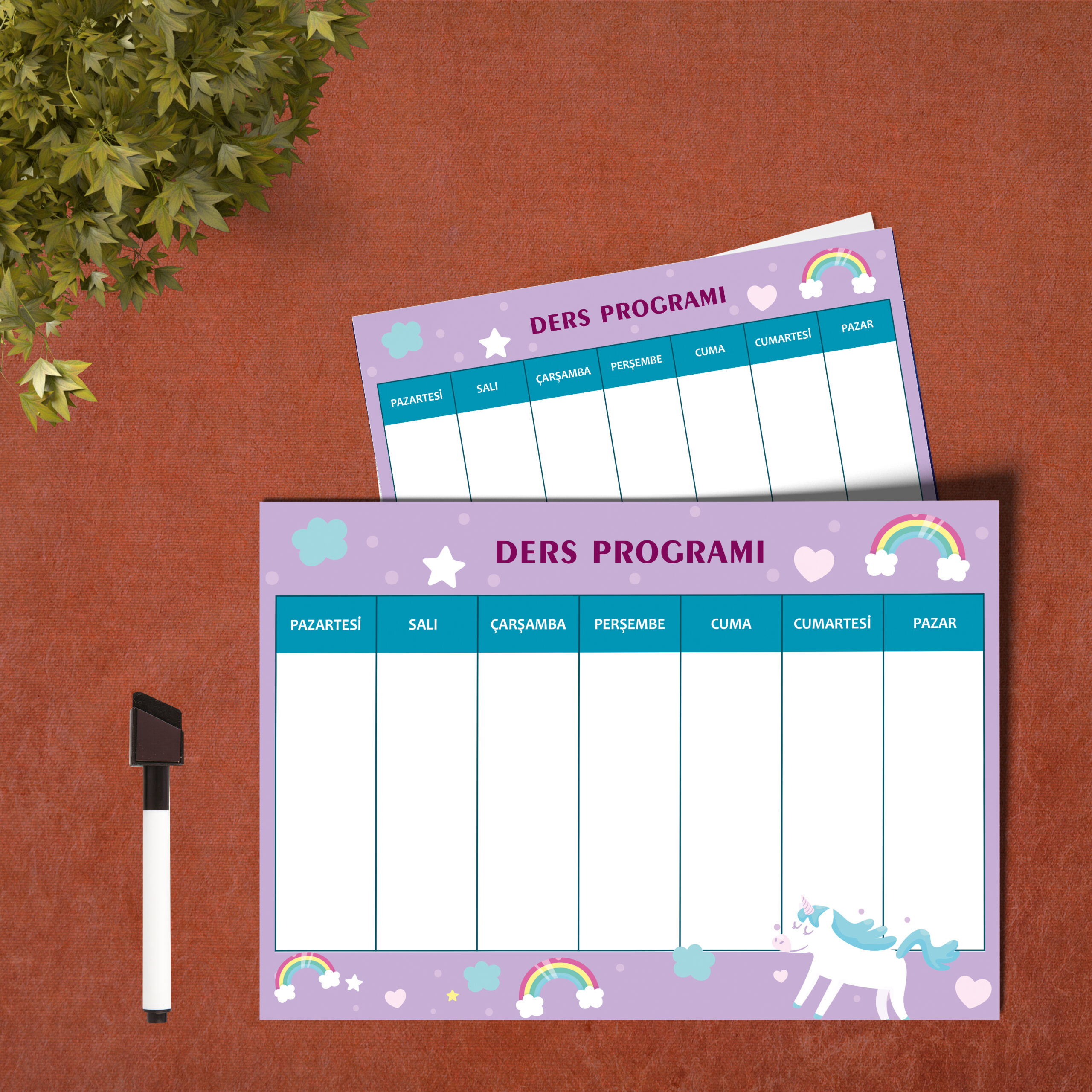 Unicorn Ders Programı Planlayıcı Yaz-Sil